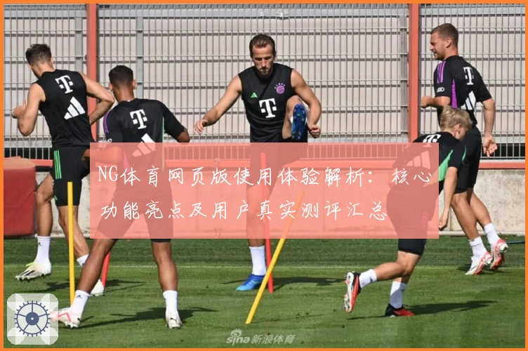 NG体育网页版使用体验解析：核心功能亮点及用户真实测评汇总