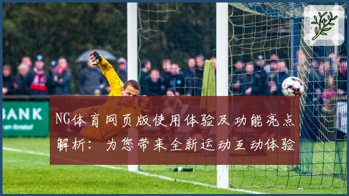 NG体育网页版使用体验及功能亮点解析：为您带来全新运动互动体验