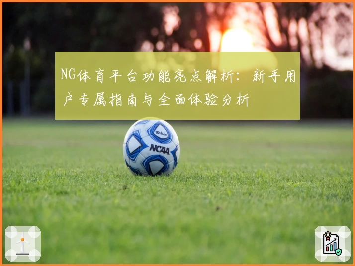 NG体育平台功能亮点解析：新手用户专属指南与全面体验分析